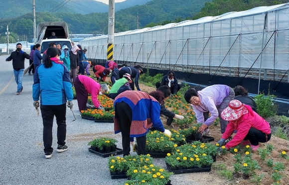 김천시청 제공
