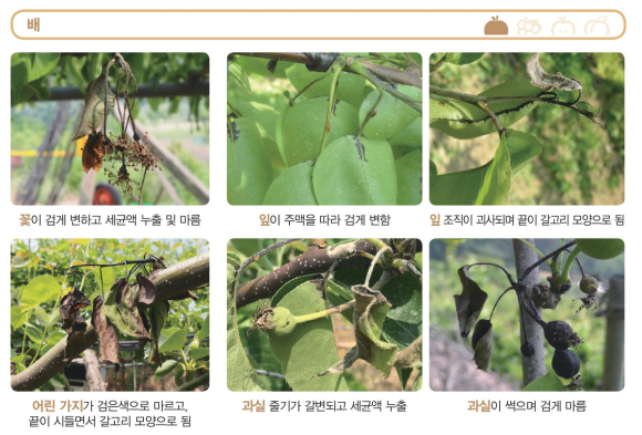 김천시청 제공