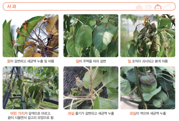 김천시청 제공