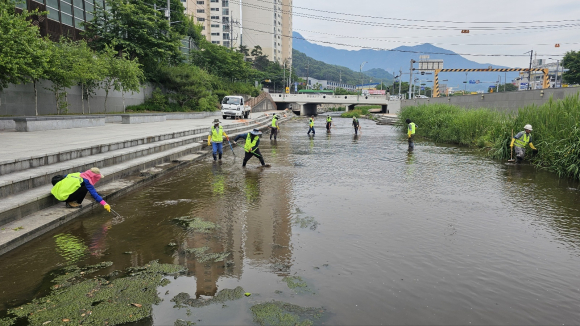 구미시청 제공