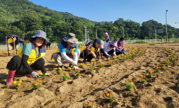김천시청 제공