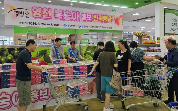 영천시청 제공