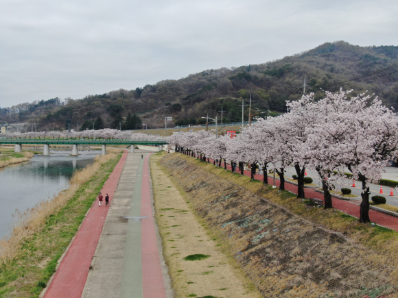 김천시청 제공