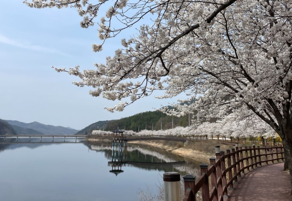 김천시청 제공