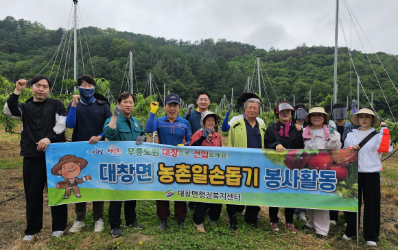 영천시청 제공
