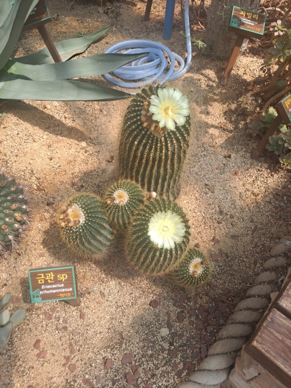 김천시시설관리공단 제공