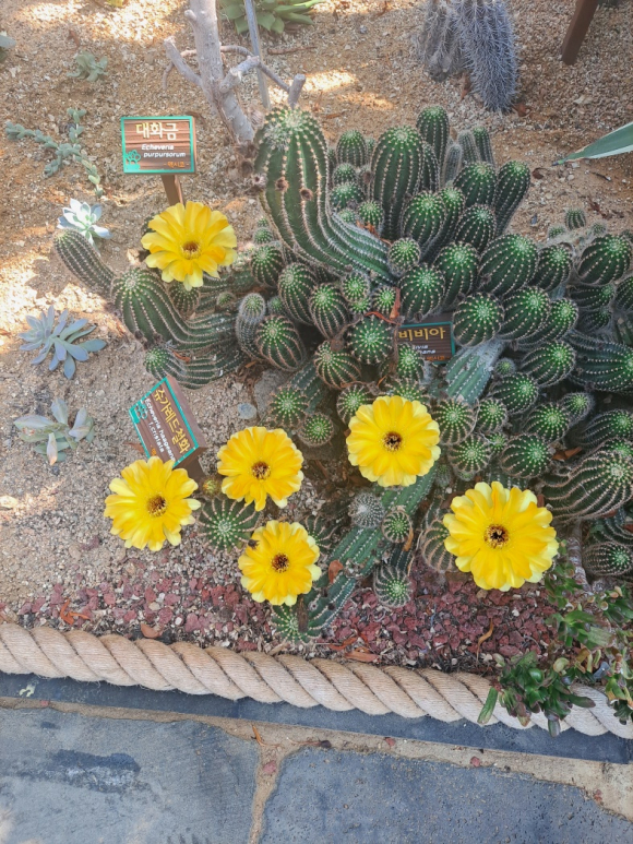 김천시시설관리공단 제공