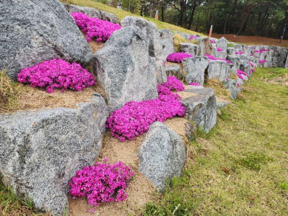 김천시시설관리공단 제공