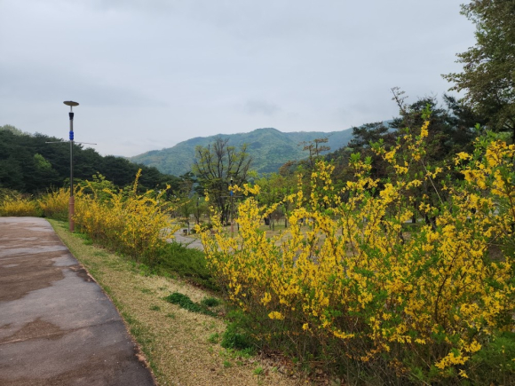 김천시시설관리공단 제공